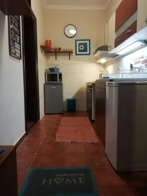 a kitchen with a stove and a counter top at Apartments Sandra 2 in Kotor