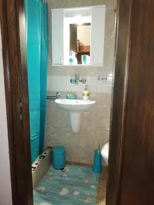 a small bathroom with a sink and a toilet at Apartments Sandra 2 in Kotor