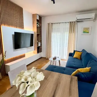 Bojovic's Apartment