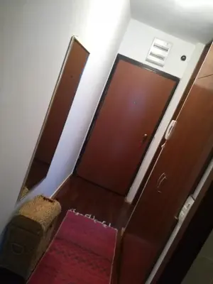 a pair of wooden cabinets in a room with a red rug at Apartment Sara in Podgorica