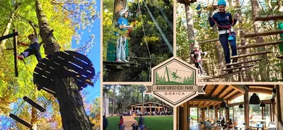 a collage of pictures of a park with people on a tree at Apartment Sara in Podgorica