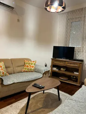 a living room with a couch and a tv at Apartment Sara in Podgorica