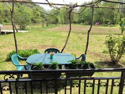 a blue table with plants on a fence at Camp Podkraj in Virpazar