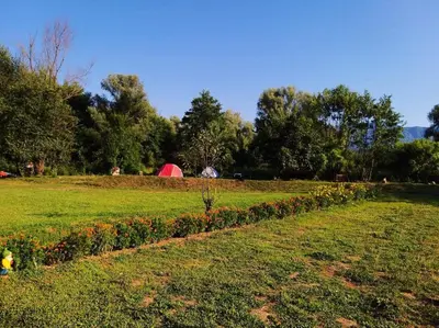 a garden with a row of flowers in a field at Camp Podkraj in Virpazar