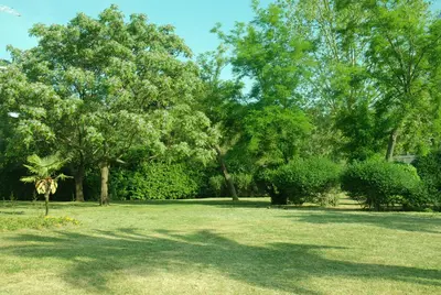 a park with trees and a field with grass at Miracle in Budva