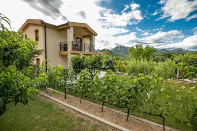 a house with a vineyard in front of it at Ethno Lodge AB in Virpazar