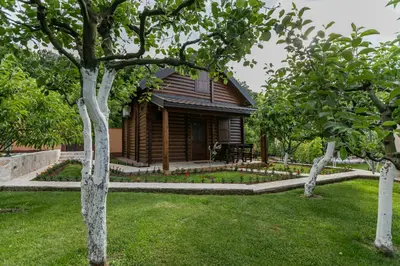 a house in a garden with trees in the yard at Ethno Lodge AB in Virpazar