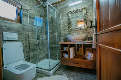 a bathroom with a shower and a toilet and a sink at Ethno Lodge AB in Virpazar