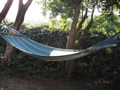 a hammock hanging from trees in a garden at Raj in Kotor