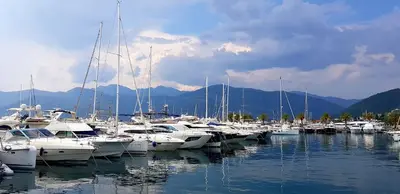 a bunch of boats docked in a harbor at Villa Rolla in Tivat