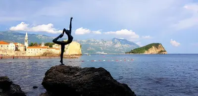 a statue of a pelican on a rock in the water at Villa Rolla in Tivat