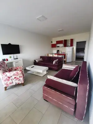 a living room with two couches and a tv at Apartments Bibic in Budva
