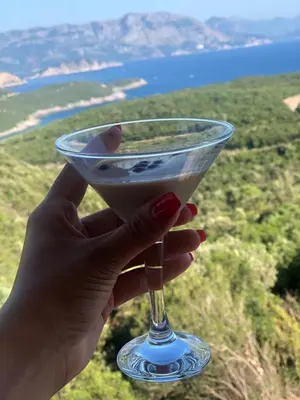 a hand holding a wine glass with a view at Apartments Bibic in Budva
