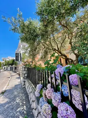 a wooden bench with purple flowers next to a fence at Adriatic Apartments in Ulcinj