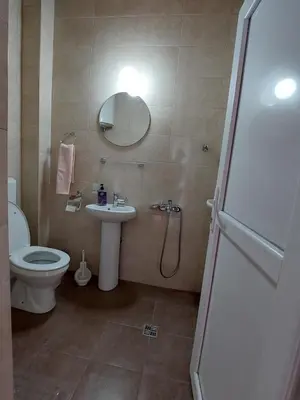 a bathroom with a toilet and a sink and a mirror at Airport home Radinovic in Podgorica