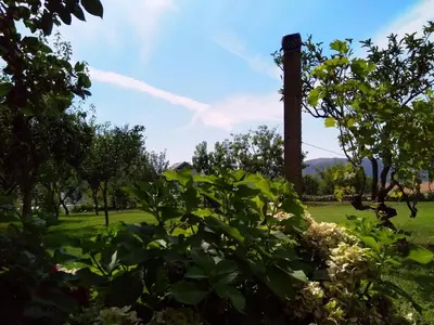 a view of a field with trees and a pole at Apartments Villa Andjela in Budva