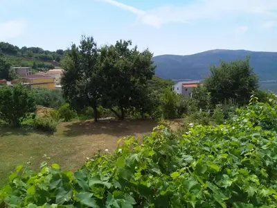 a view of a garden with trees and buildings at Apartments Villa Andjela in Budva