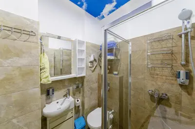 a bathroom with a shower and a toilet and a sink at Lux Apartments Harmonia in Budva