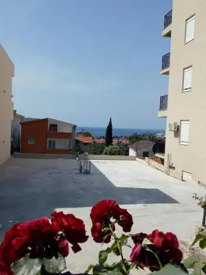 a group of red roses sitting in front of a parking lot at Apartman Lora in Budva