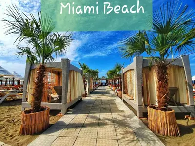 a beach walkway with palm trees inront of a beach at Miami apartments in Ulcinj