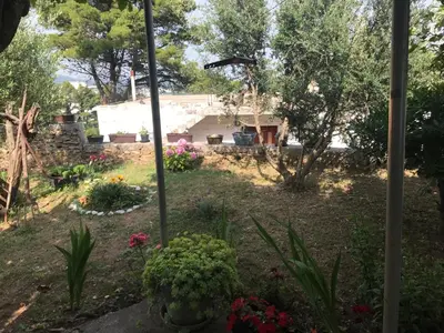 a garden with flowers and a house in the background at Apartments Radulović in Ulcinj