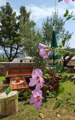 a bench and a green umbrella and pink flowers at Apartments Radulović in Ulcinj