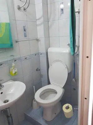 a small bathroom with a toilet and a sink at Villa Royal in Cetinje