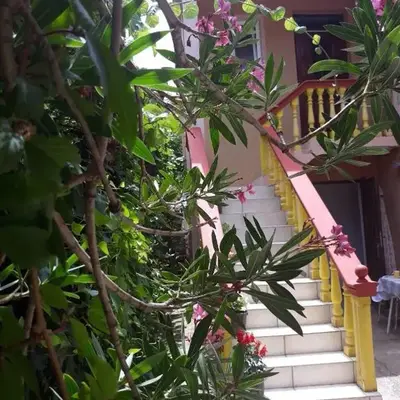 Apartman Tatjana