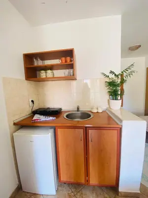 a small kitchen with a sink and a refrigerator at Miomir Perazic Apartments in Petrovac na Moru