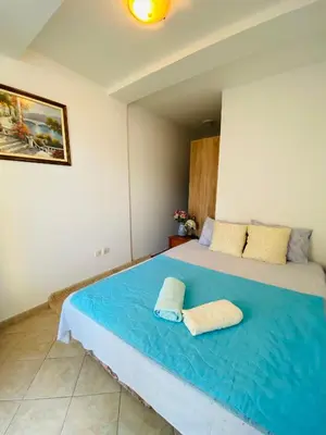 a bedroom with a large bed with blue sheets at Miomir Perazic Apartments in Petrovac na Moru