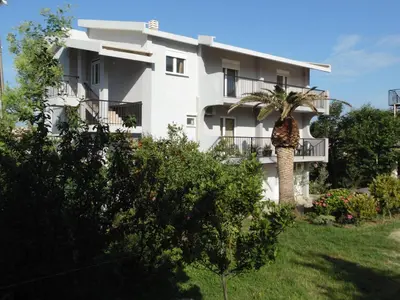 a white building with a palm tree in front of it at 3rooms,11 people in Bar