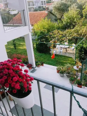 a balcony with flowers in a pot on a table at Guest House Djonovic in Petrovac na Moru