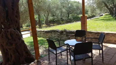 a patio with chairs and a table and a tree at Olive Paradise in Ulcinj