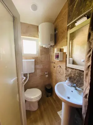 a small bathroom with a toilet and a sink at Apart dom Janković in Sutomore