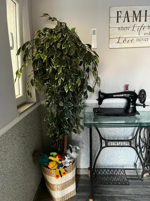 a potted plant in a basket next to a table at Family Apartment in Cetinje