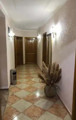 a hallway with a potted plant on the floor at 