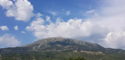 Gallery image of Monte Liza in Dobra Voda