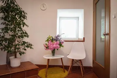 a room with a vase of flowers on a table and two chairs at Markov konak in Cetinje