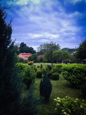 a garden with bushes and trees in a field at Markov konak in Cetinje