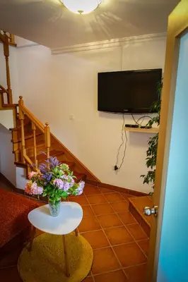 a living room with a vase of flowers on a table at Markov konak in Cetinje