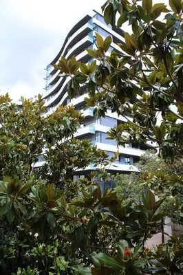 a tall white building behind a tree at Apartman Bošković in Budva