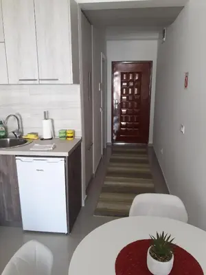 a kitchen with a sink and a table with chairs at Apartman Nina in Bar