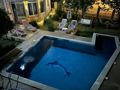 a dolphin swimming in the water in a swimming pool at Andolly Apartments in Bar