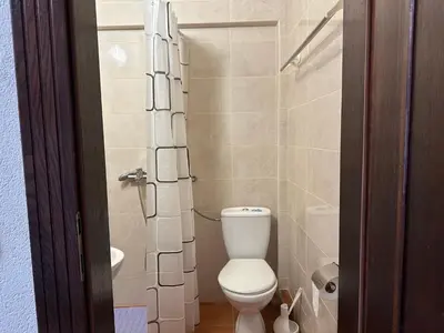 a small bathroom with a toilet and a shower at Andolly Apartments in Bar