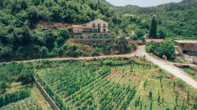 an aerial view of a farm with a house and a road at RUSTIC HOUSE LEKOVIĆ in Virpazar