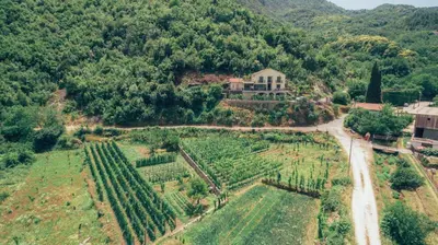 an aerial view of a farm with a house and a road at RUSTIC HOUSE LEKOVIĆ in Virpazar
