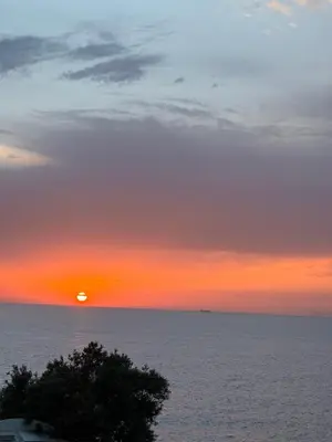 a sunset over the ocean with a tree in the foreground at Apartments Apartmani Bojana in Utjeha