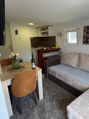 a living room with a couch and a table at Apartment viva Jelena in Budva