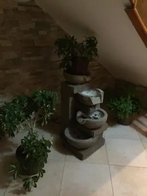 a group of potted plants sitting in a room at Apartments Kalaja in Ulcinj