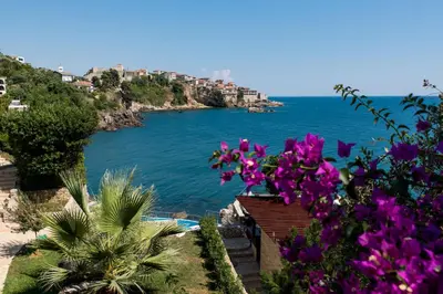 a view of a beach with purple flowers at Apartments Eneida in Ulcinj